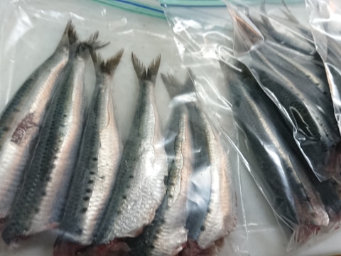 大量買いに☆いわしの冷凍保存♪